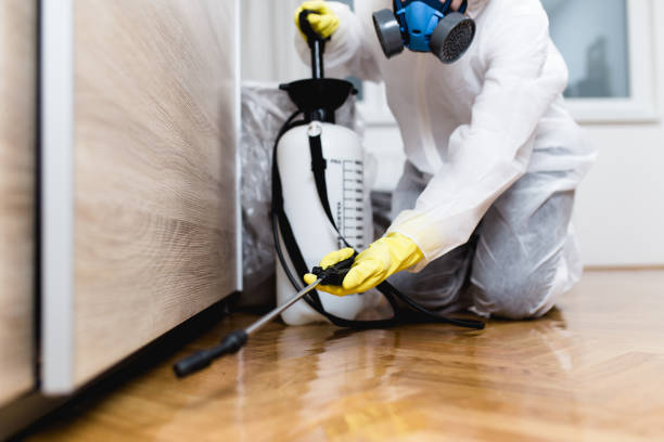 Wasp Removal Services in Lake Mary, FL